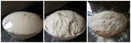 Pâte à baguette maison en cours de levée, montrant les différentes étapes de fermentation avant le façonnage du pain
