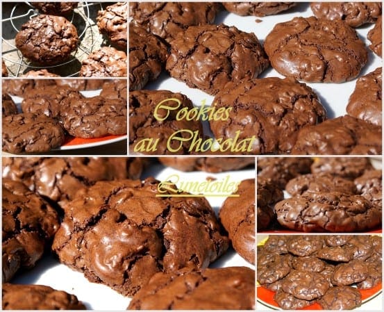 Cookies au chocolat de Martha Stewart