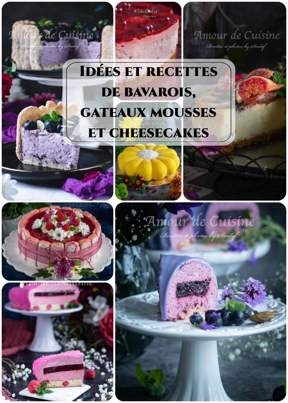 Idées et recettes de bavarois, gateaux mousses et cheesecakes