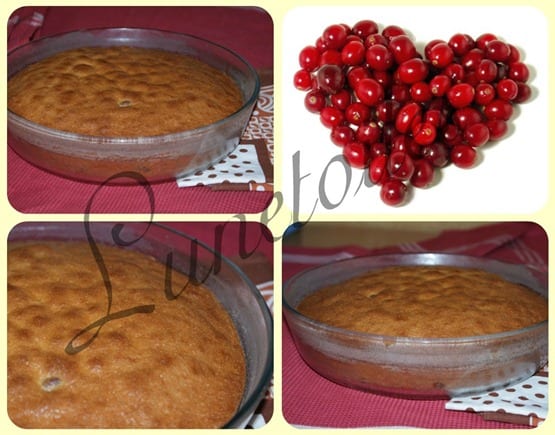 gateau au cranberry