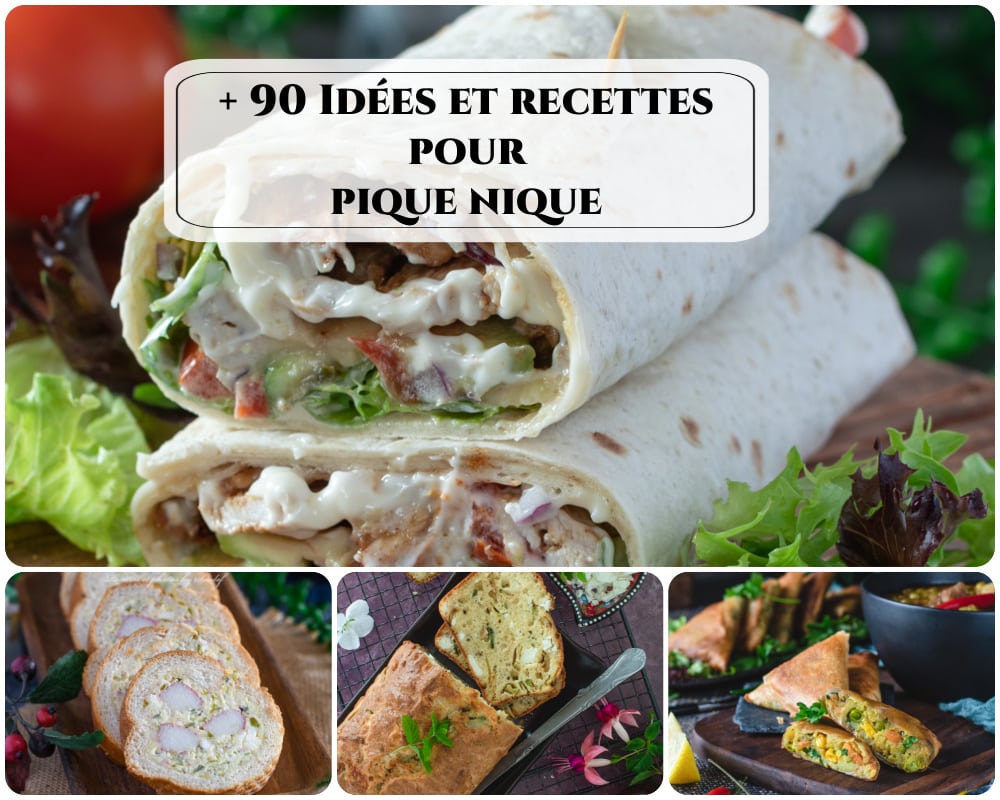 + 90 Idées et recettes pour pique nique