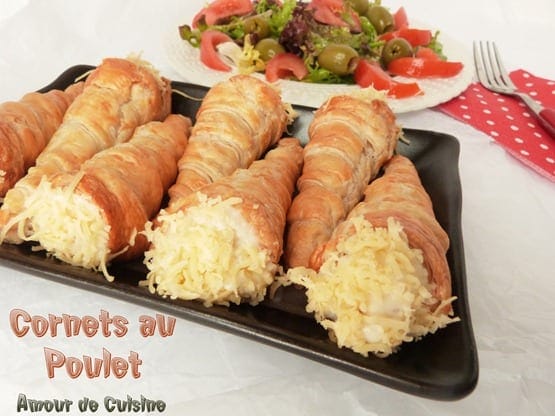 cornets au poulet 028