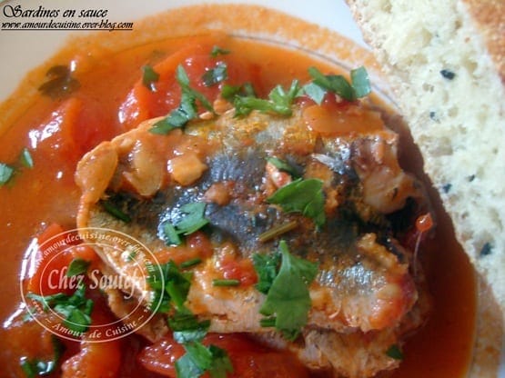 sardine en sauce tomate 031