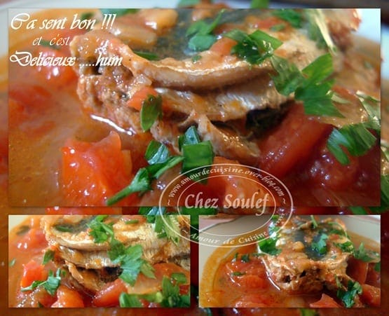 sardine en sauce tomate sardine en sauce tomate