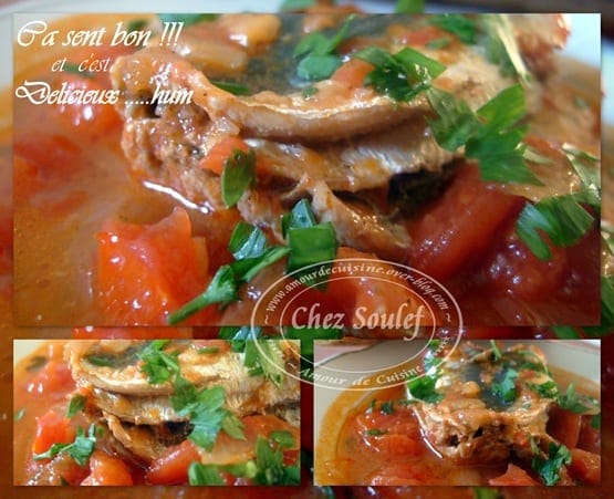 sardine en sauce tomate