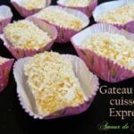 gâteau sans cuisson très rapide et facile