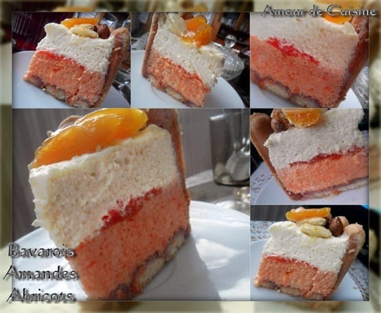charlotte bavarois abricot amande 2 charlotte bavarois abricot amande 2