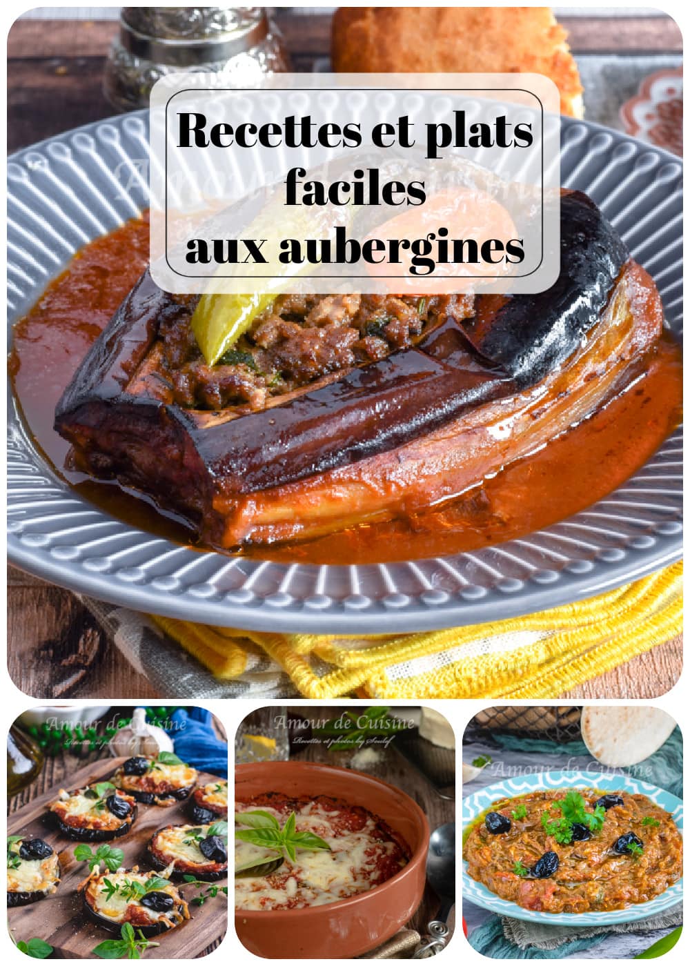 Recettes et plats faciles aux aubergines