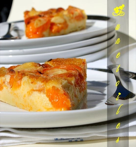 clafoutis aux abricots 2 clafoutis aux abricots 2