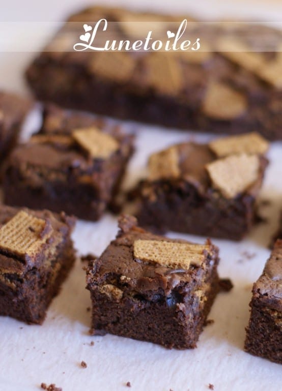 fondant au chocolat et spéculoos