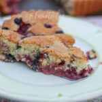 gateau moelleux aux fruits rouges