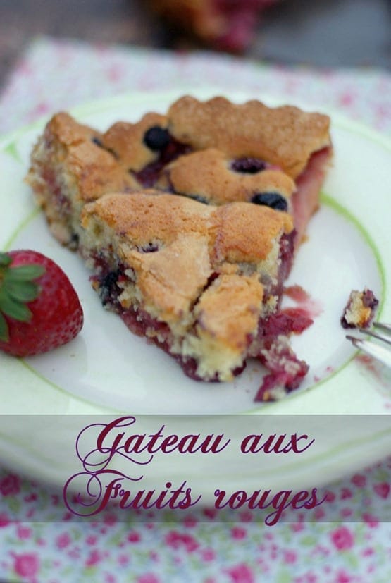 gateau aux fruits rouges / Berry summer cake