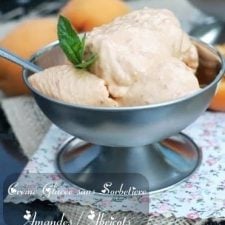 Crème glacée sans sorbetière amandes abricots