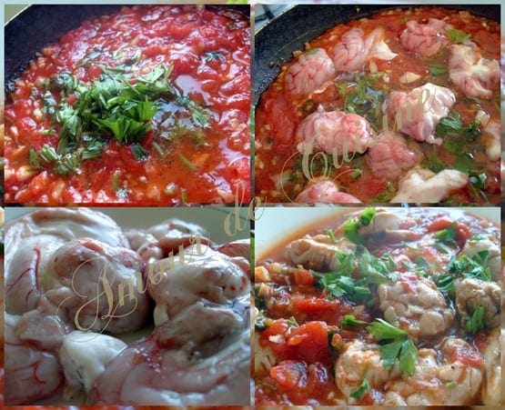 cervelle de mouton en sauce tomate cervelle d'agneau en sauce tomate - chtitha mokh