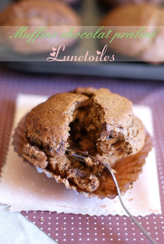 muffins chocolat praliné