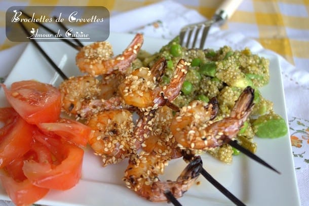 brochette de crevette 026.CR2-001