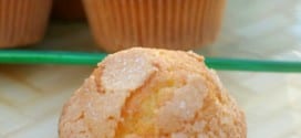 Madeleines espagnoles au citron