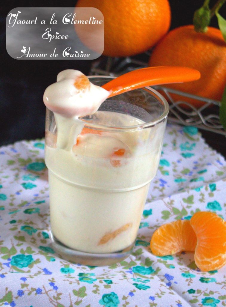 yaourt a la clementine epicee 026.CR2