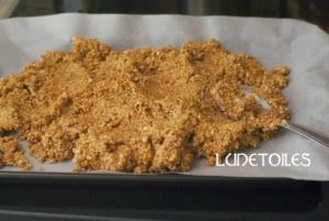 carrés au chocolat et aux noix: gateau marocain