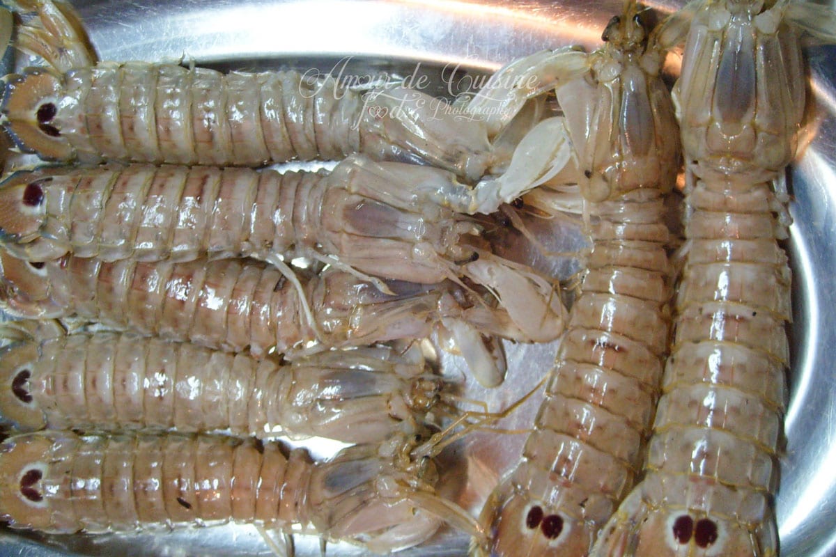 cigale de mer