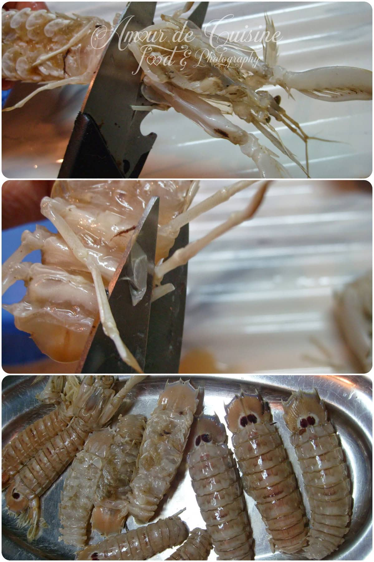preparer les cigales de mer