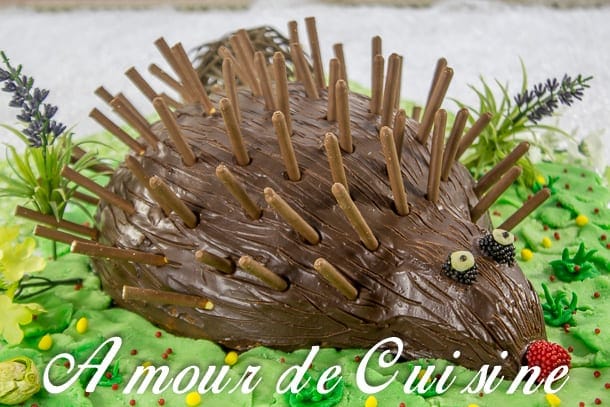 gateau d’anniversaire hérisson au chocolat