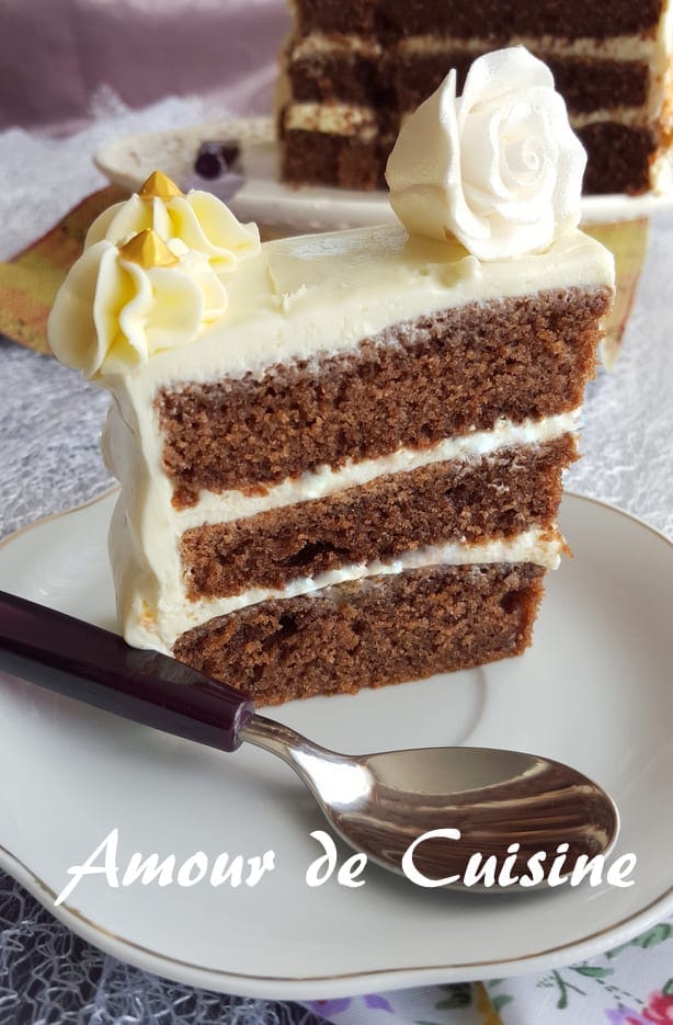 gateau moelleux au yaourt et au chocolat