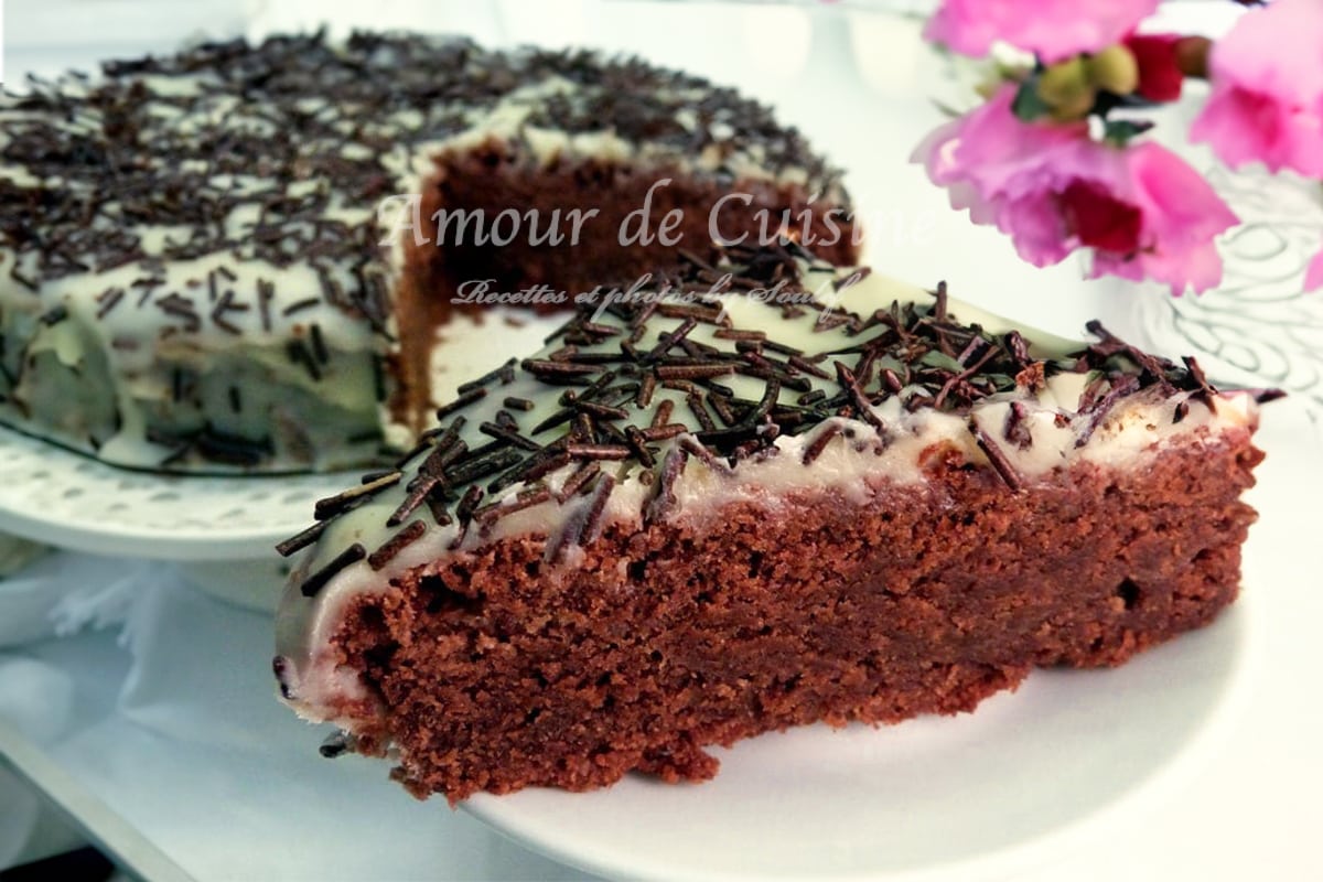 gateau au chocolat sans oeufs - Amour de cuisine