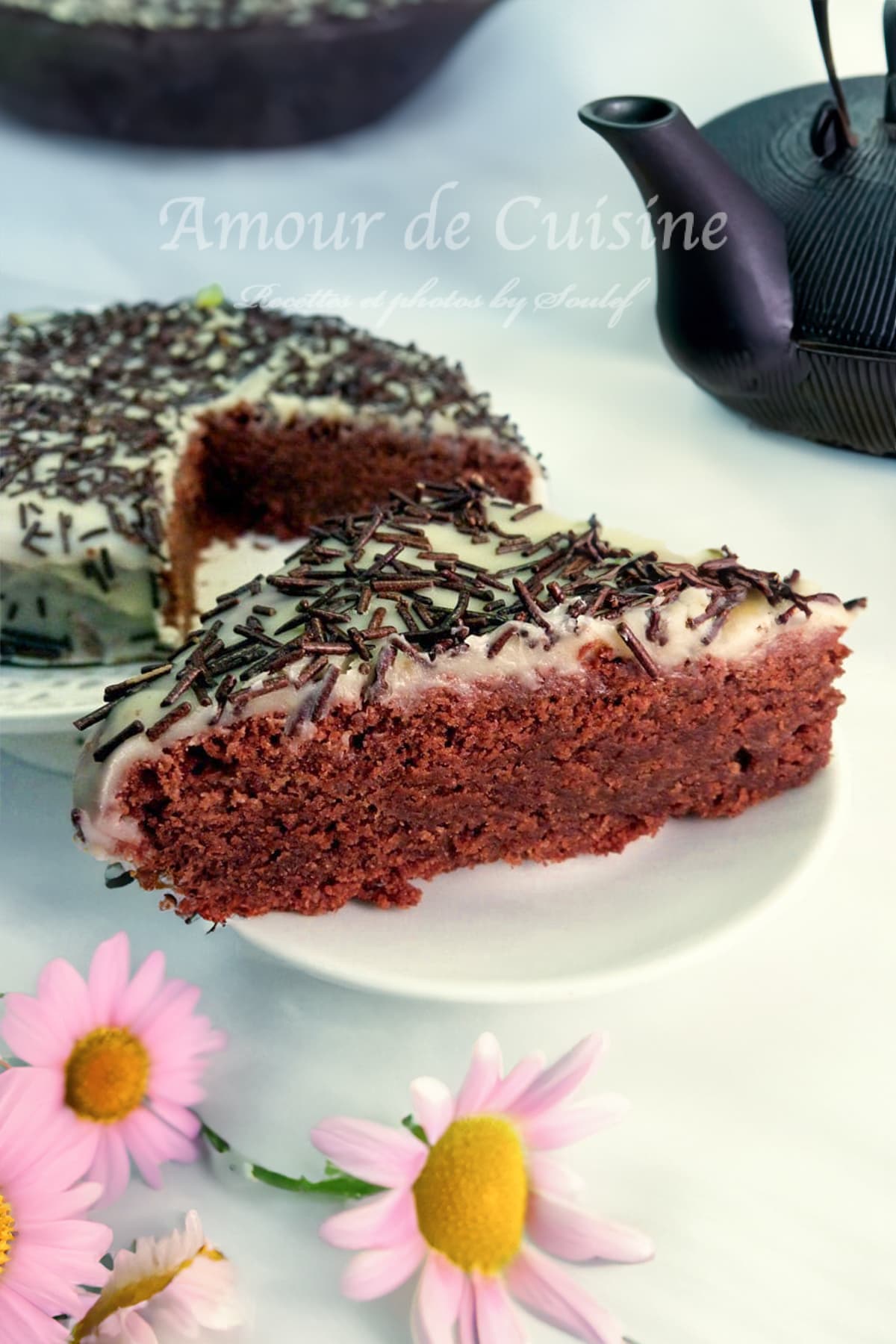 gateau au chocolat sans oeufs