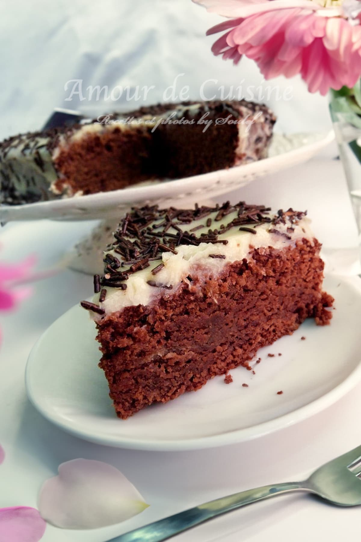 gateau moelleux au chocolat sans oeuf