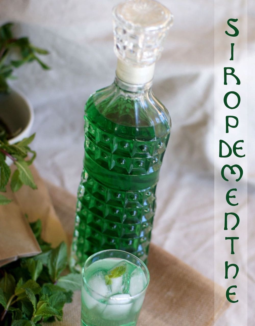 sirop de menthe maison boisson rafraichissante