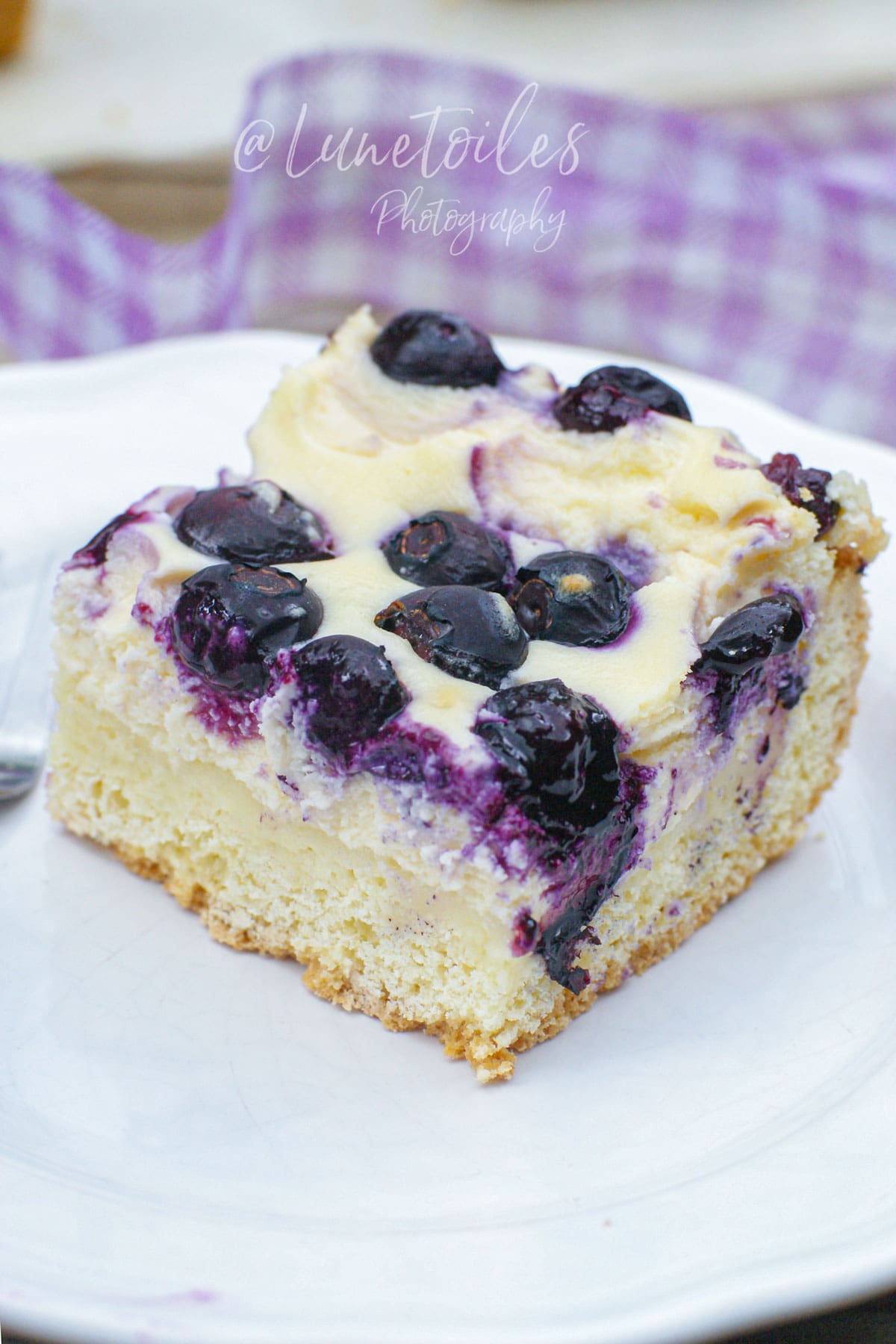 gateau moelleux fromage et myrtilles