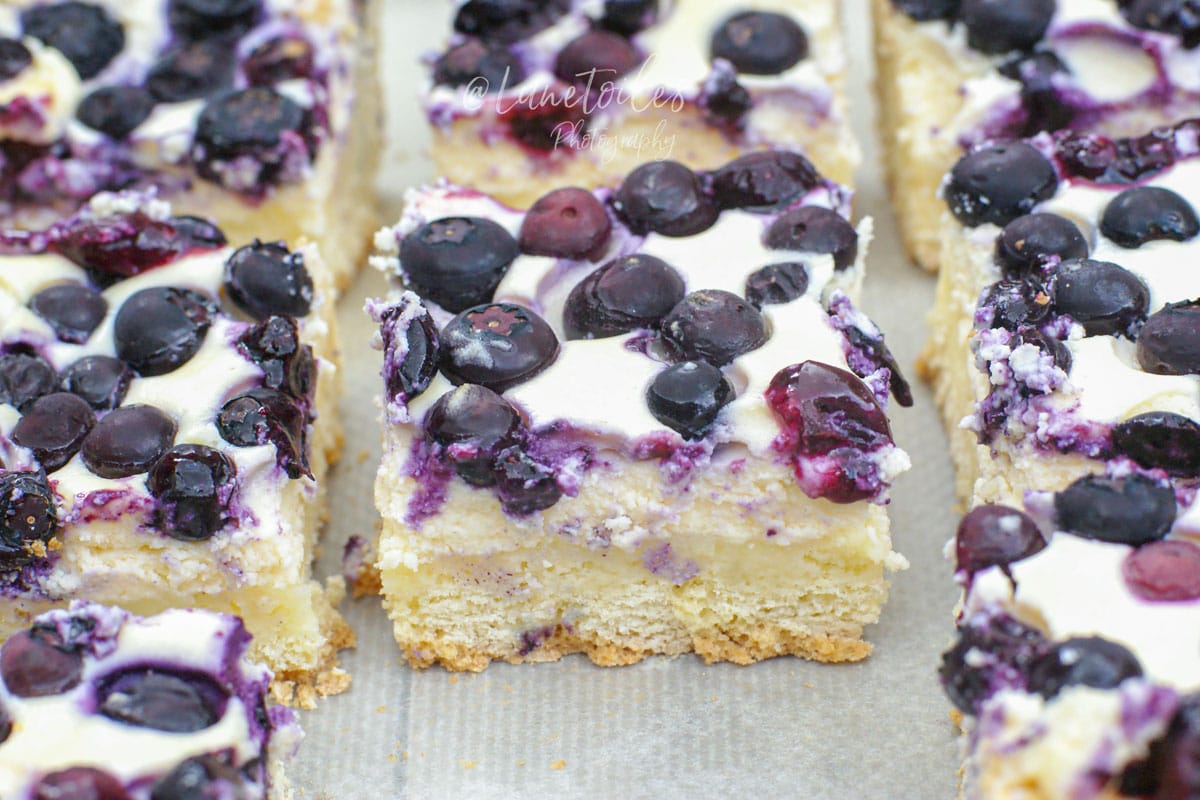 gateau moelleux fromage et myrtilles
