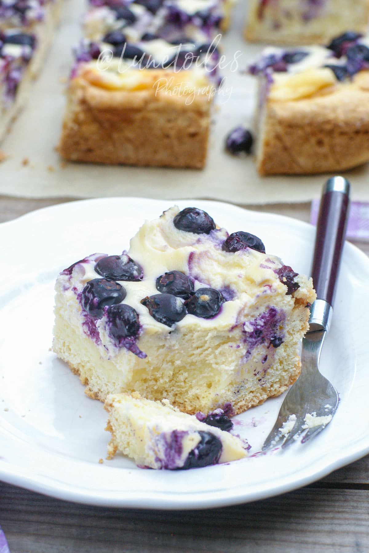gateau moelleux fromage et myrtilles