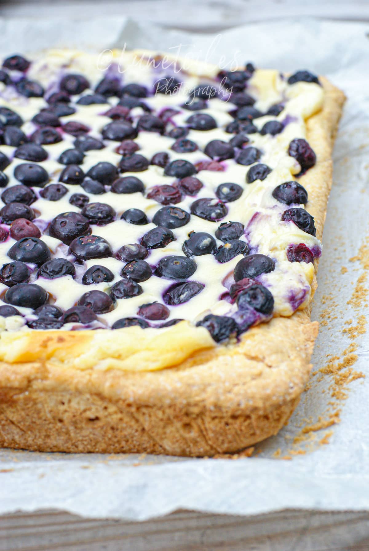 gateau moelleux fromage et myrtilles