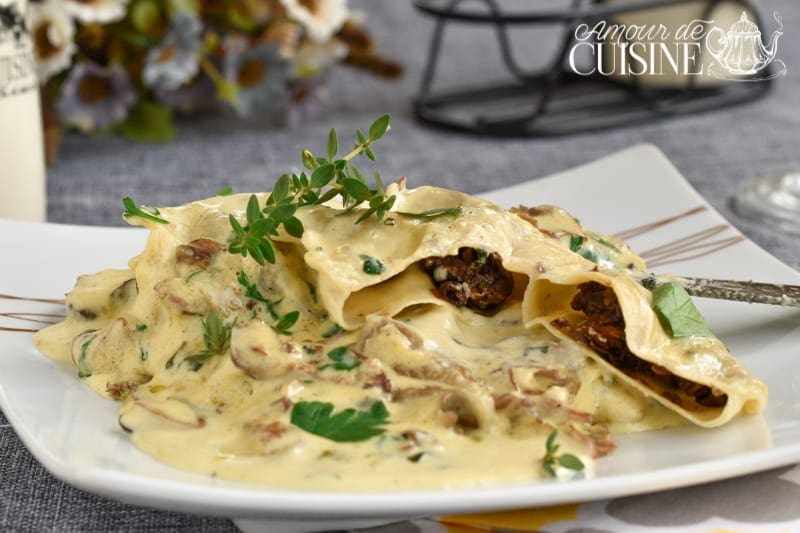 raviolis aux cèpes à la crème aux champignons 2