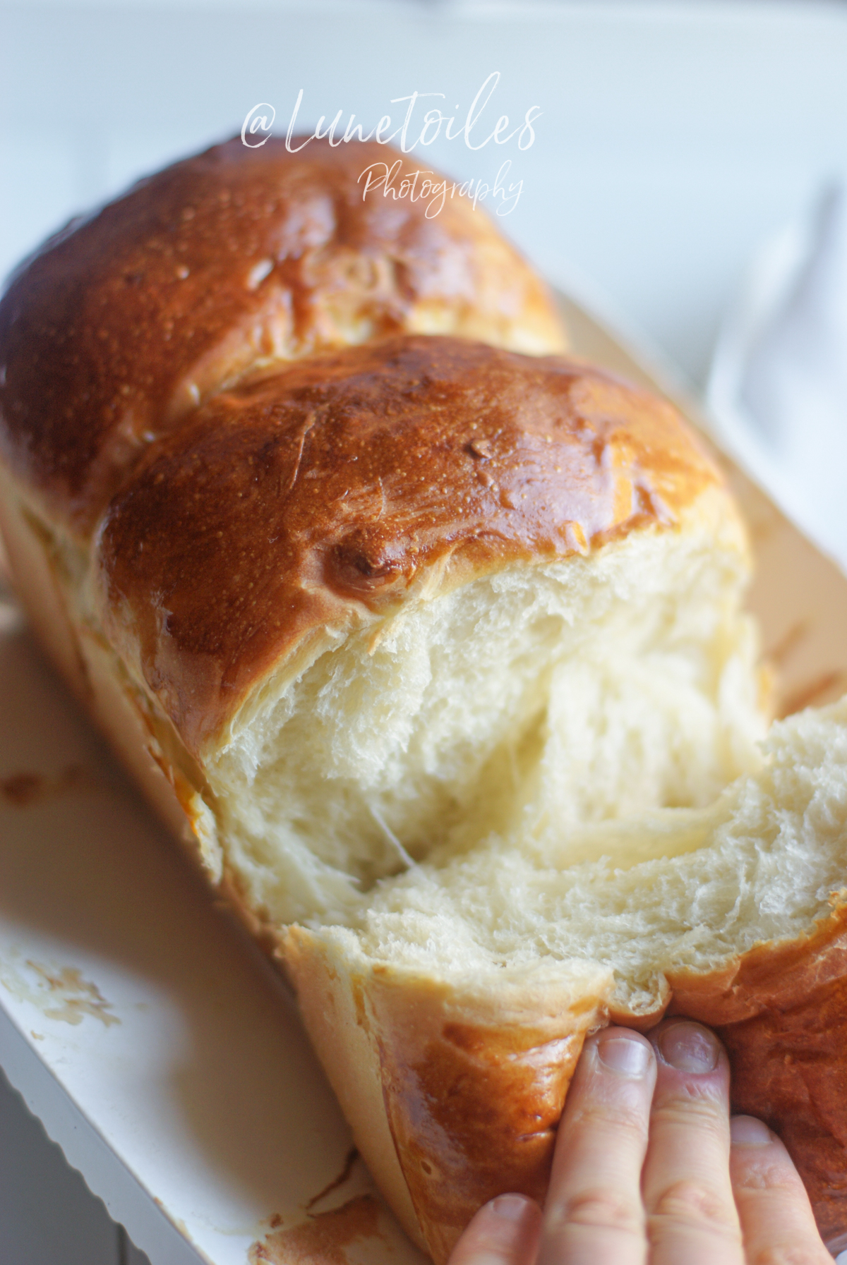 Homemade Hokkaido Japanese milk bread, golden glossy brioche with a soft, stretchy crumb, pulled apart by hand to reveal its airy texture
