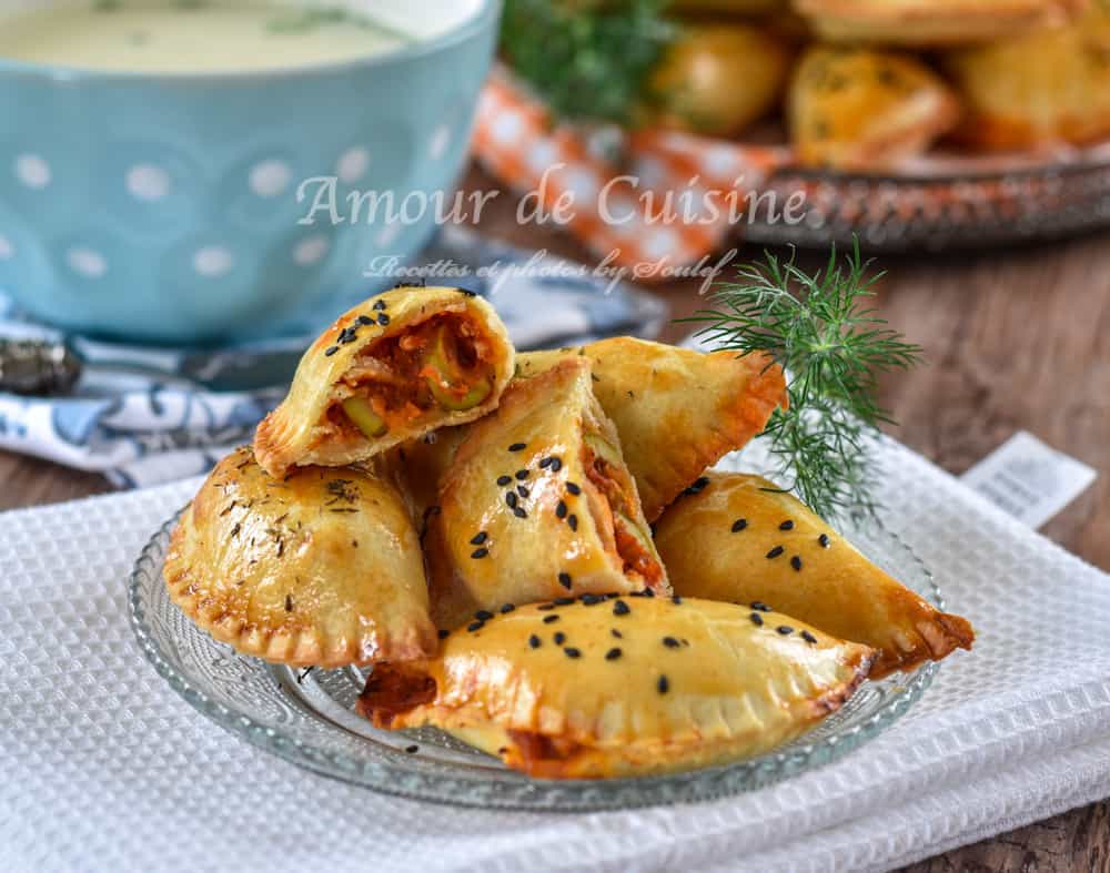 Empanadas au poulet, chaussons faciles 3