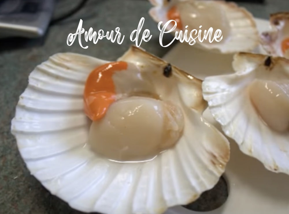 coquilles noix de saint jacques