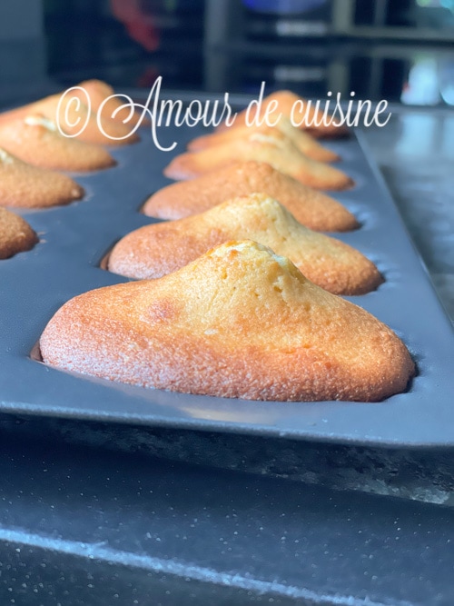 la bosse des madeleines reussies