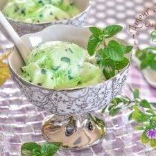 creme glacée à la menthe sans sorbetière