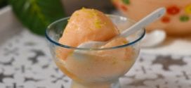sorbet de melon sans sorbetière