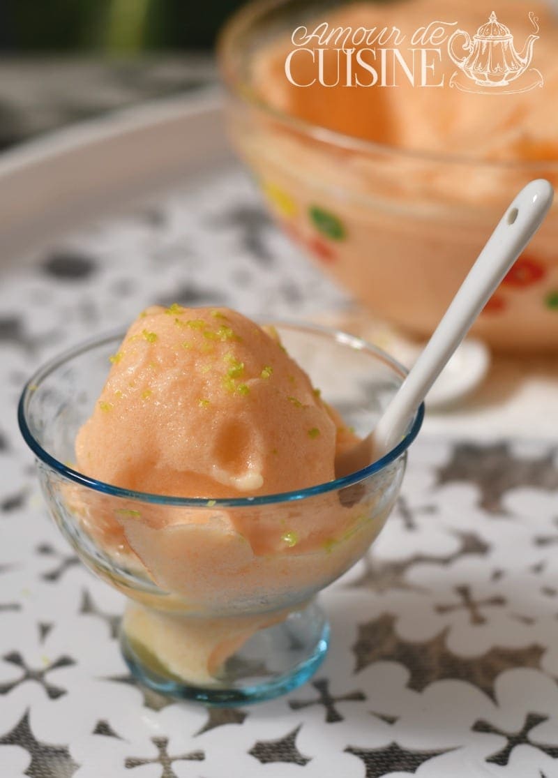 sorbet au melon facile