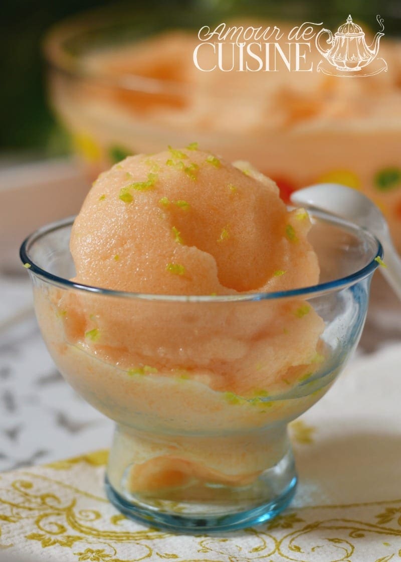 sorbet de melon facile sans sorbetière