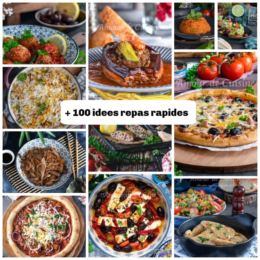 plus 100 idees repas rapides