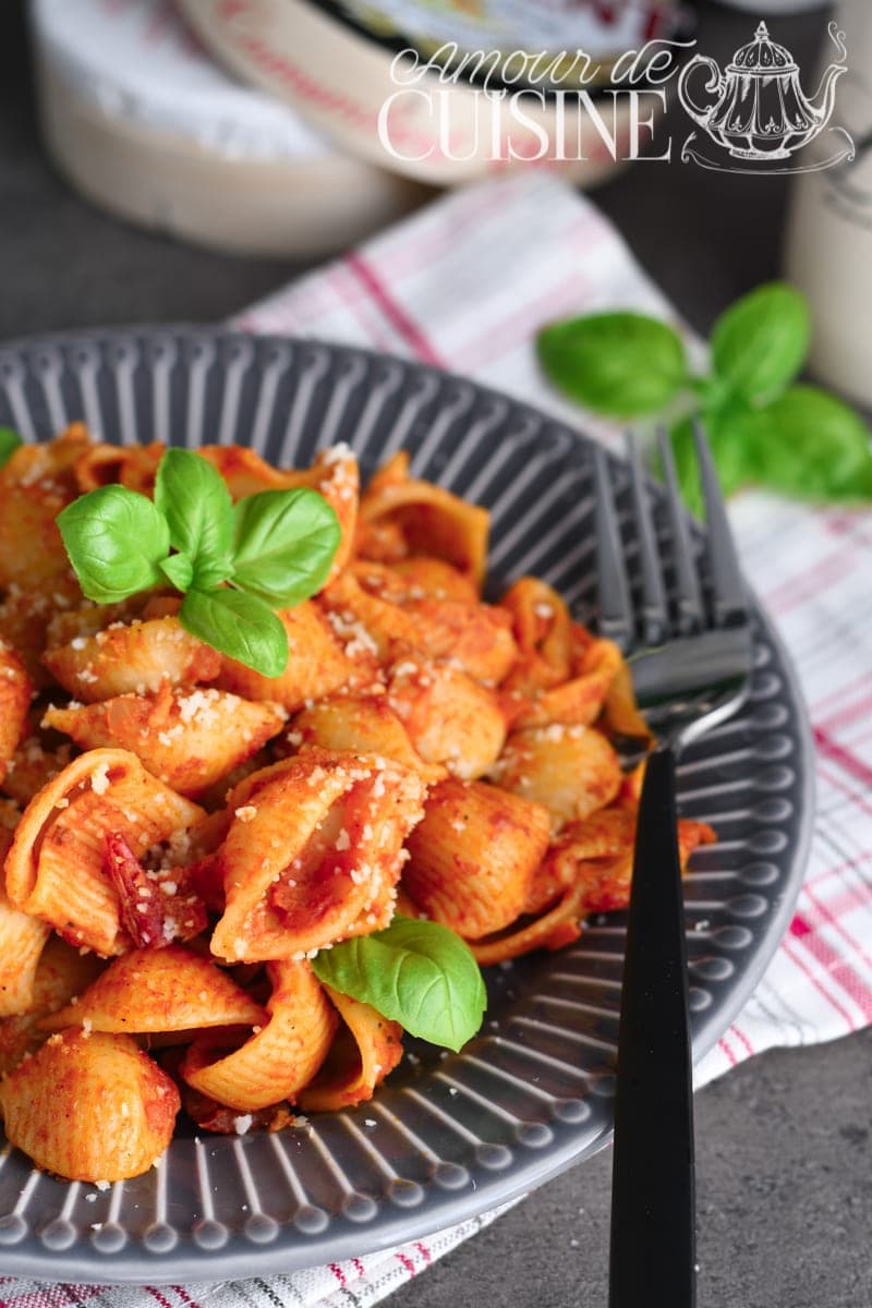 Assiette de pâtes en forme de coquille en sauce tomate, servie avec du parmesan râpé et du basilic frais sur une assiette grise, posée sur un torchon à rayures rouges