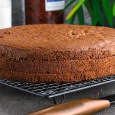 Génoise au chocolat inratable