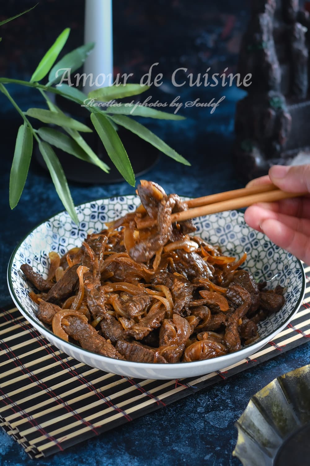 sauté de boeuf au oignon chinois