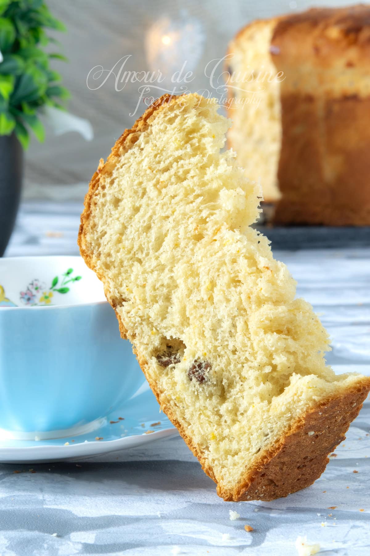 Homemade Panettone: Soft Italian Holiday Brioche