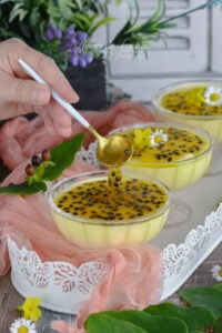 mousse au fruit de passion maracuja